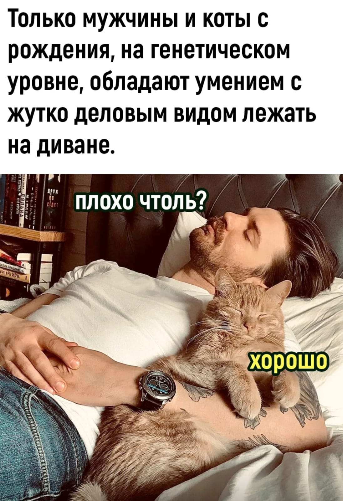 Приколюшные картинки - Бодибилдинг форум AnabolicShops