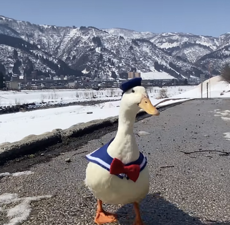 Hilma PRO - с заботой о вашем здоровье! - Бодибилдинг форум AnabolicShops