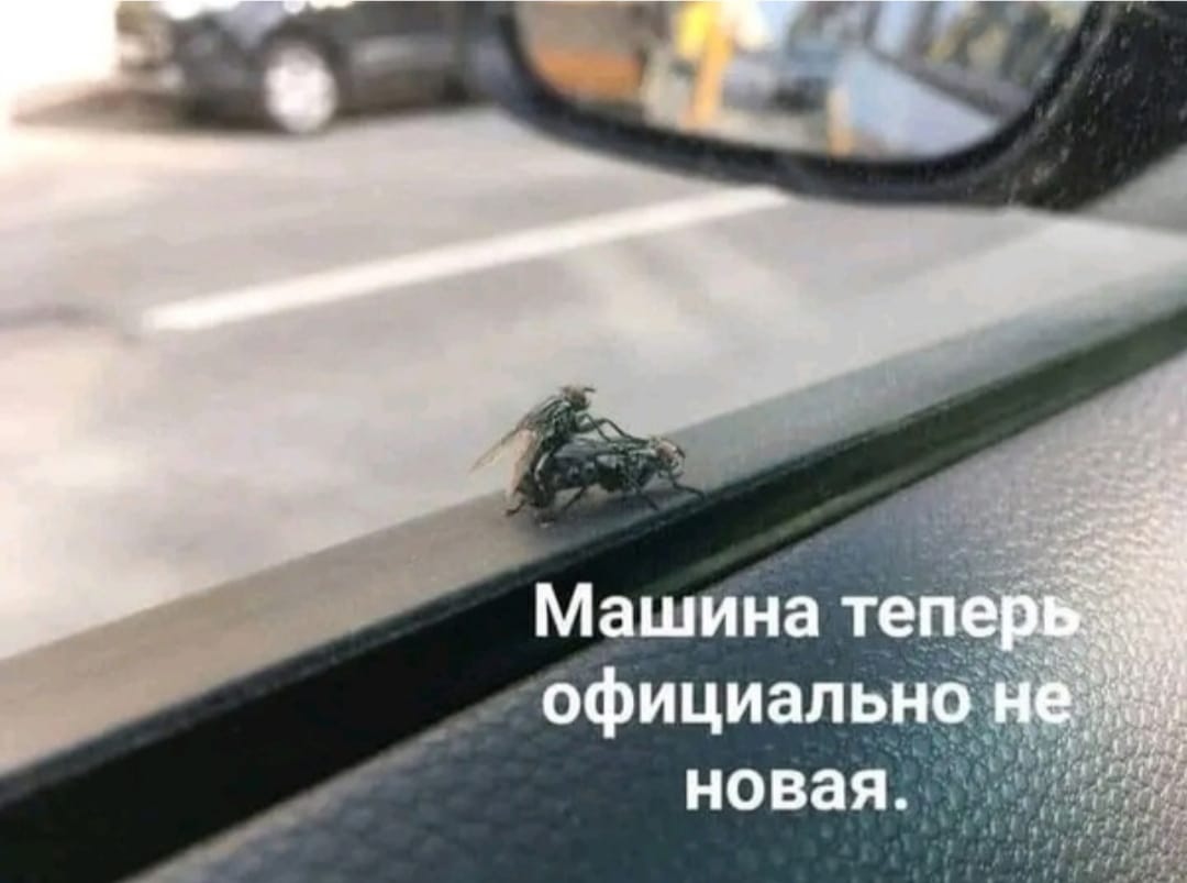 Приколюшные картинки - Бодибилдинг форум AnabolicShops