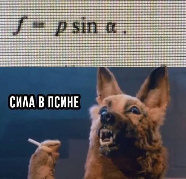 Приколюшные картинки - Бодибилдинг форум AnabolicShops