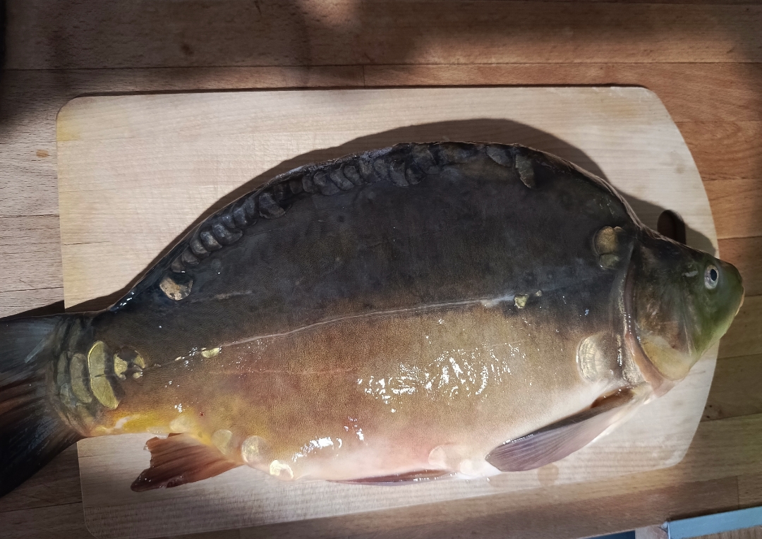 Hilma PRO - с заботой о вашем здоровье! - Бодибилдинг форум AnabolicShops