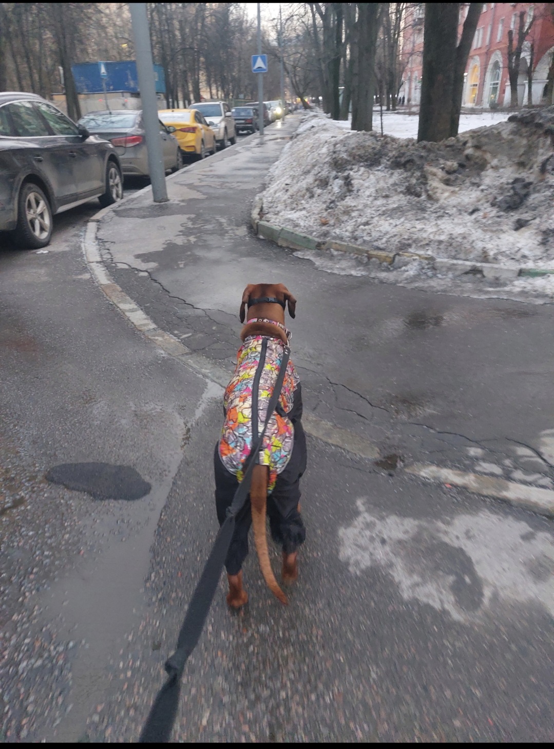 Hilma PRO - с заботой о вашем здоровье! - Бодибилдинг форум AnabolicShops