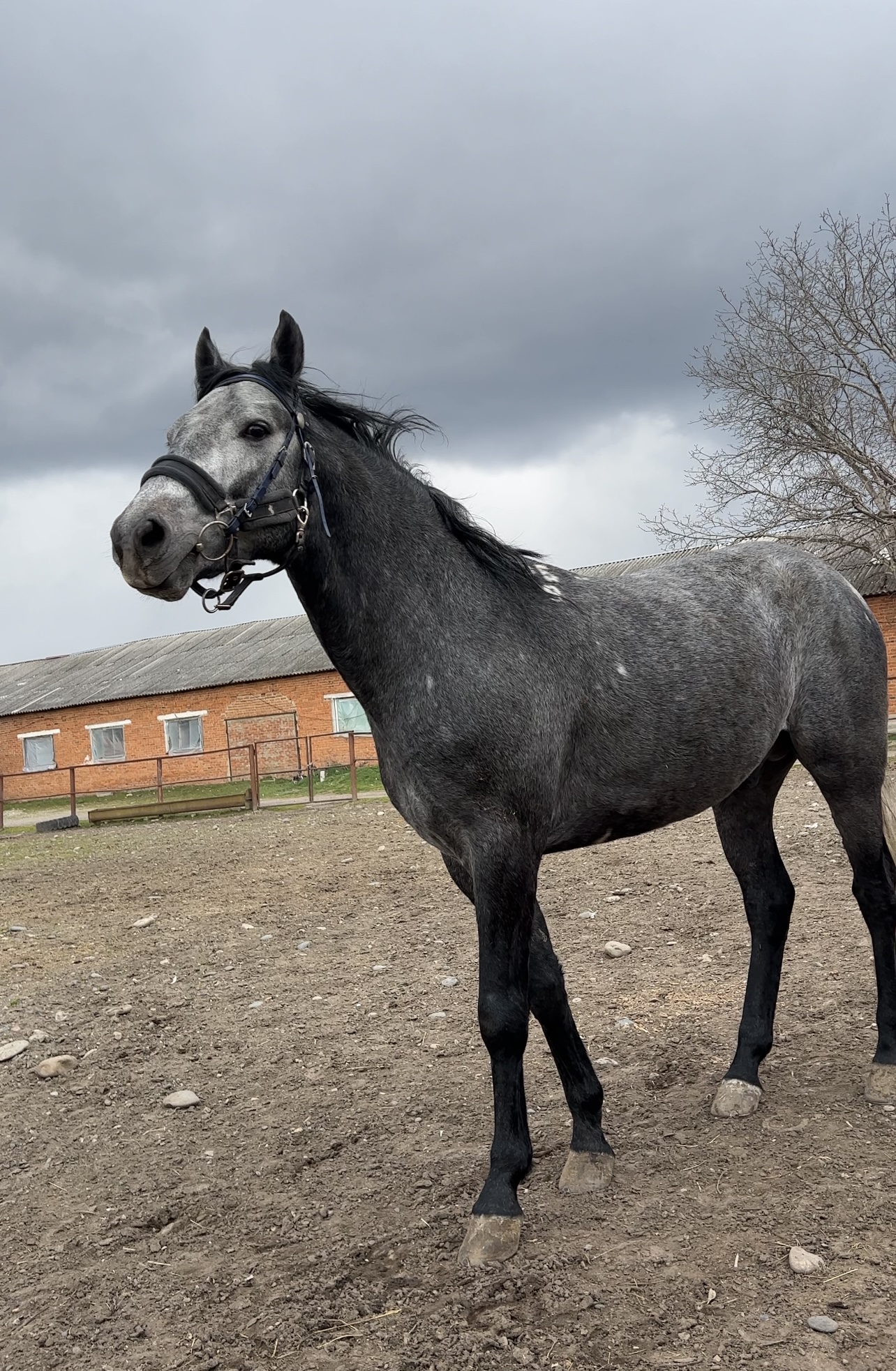 Мои домашние питомцы - Бодибилдинг форум AnabolicShops