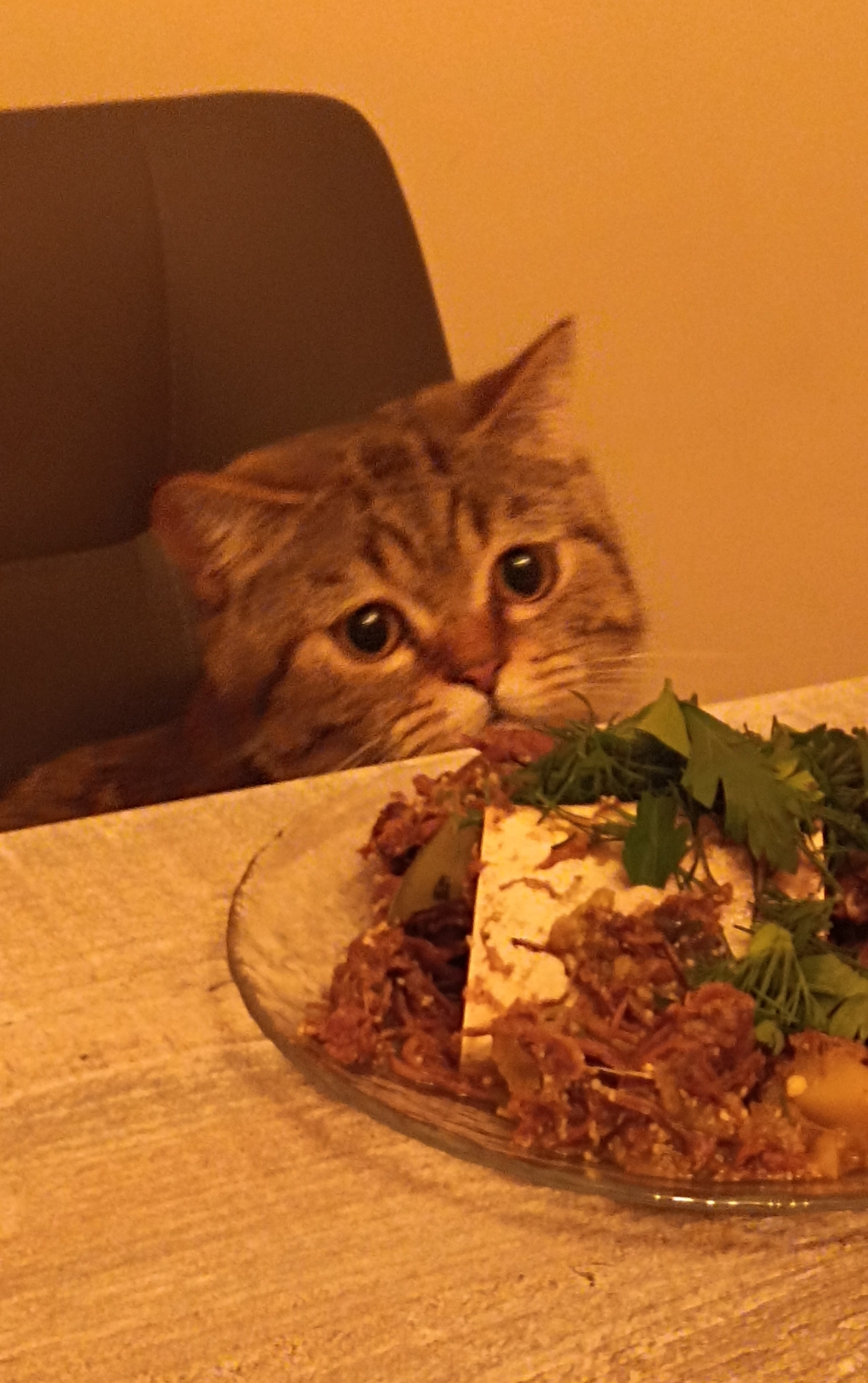 Hilma PRO - с заботой о вашем здоровье! - Бодибилдинг форум AnabolicShops