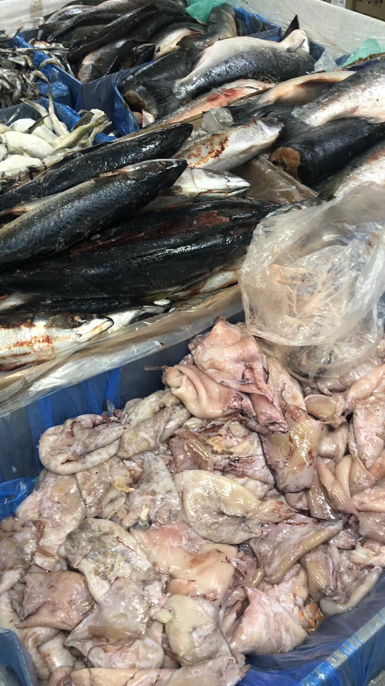 Hilma PRO - с заботой о вашем здоровье! - Бодибилдинг форум AnabolicShops