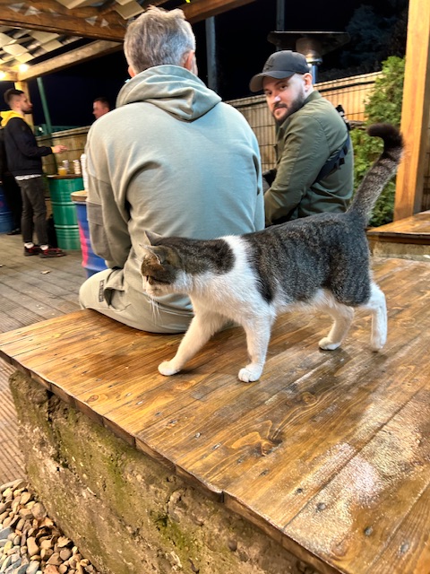 Пиво от Антона - Бодибилдинг форум AnabolicShops