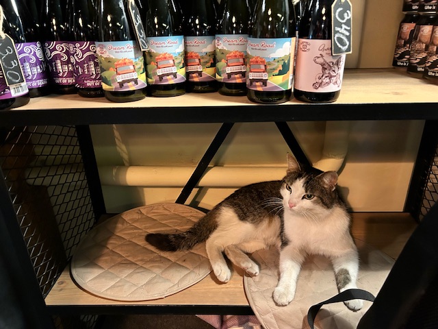 Пиво от Антона - Бодибилдинг форум AnabolicShops