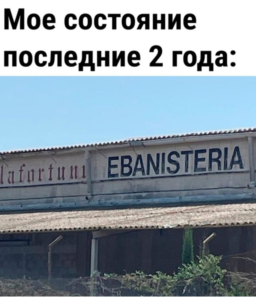 Приколюшные картинки - Бодибилдинг форум AnabolicShops