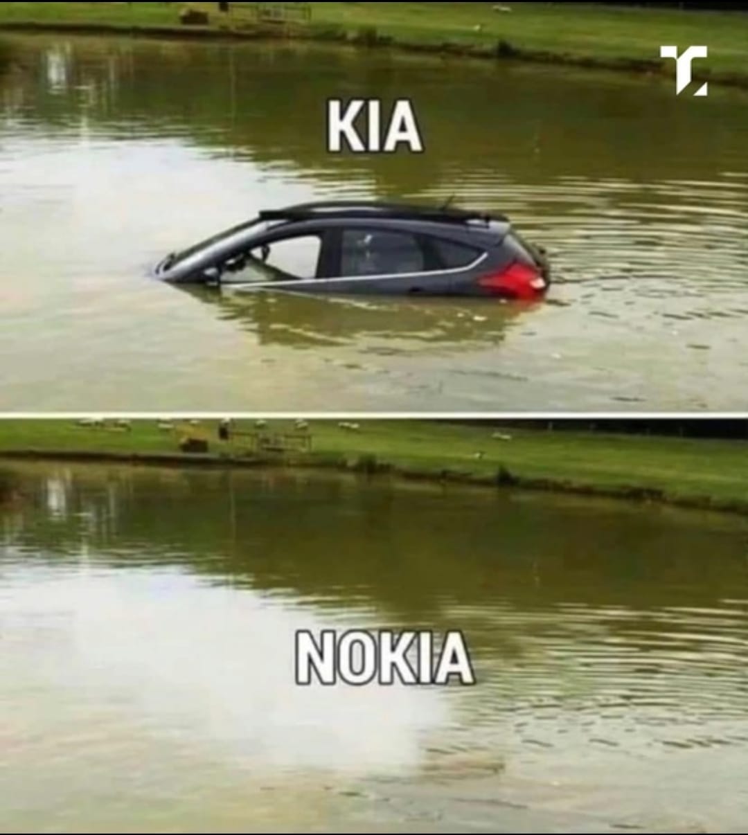 Приколюшные картинки - Бодибилдинг форум AnabolicShops