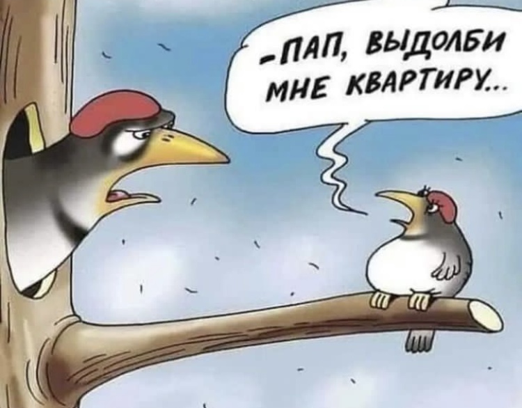 Hilma PRO - с заботой о вашем здоровье! - Бодибилдинг форум AnabolicShops