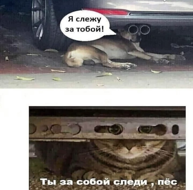 Hilma PRO - с заботой о вашем здоровье! - Бодибилдинг форум AnabolicShops