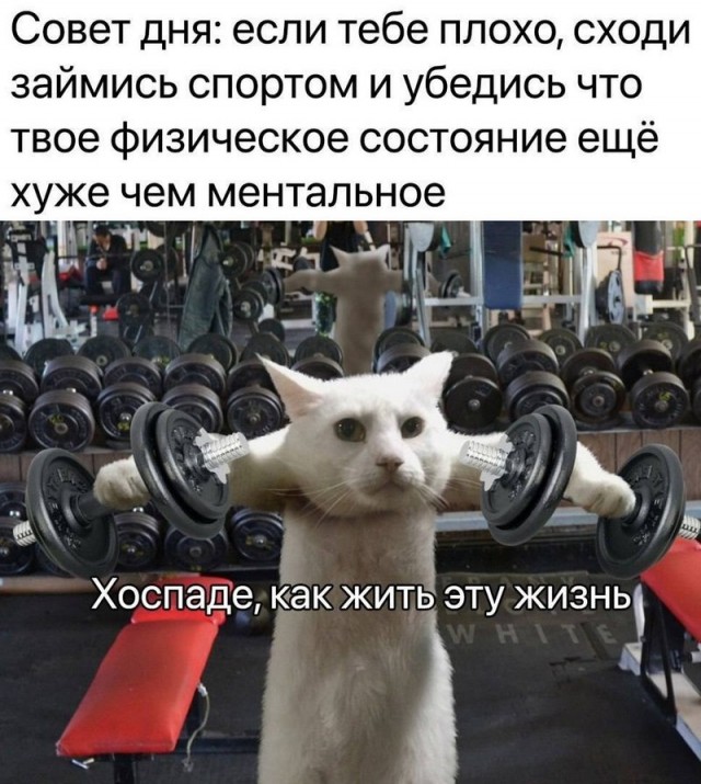 Курилка- разговоры на любые темы - Бодибилдинг форум AnabolicShops