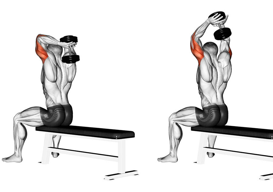 Hilma PRO - с заботой о вашем здоровье! - Бодибилдинг форум AnabolicShops