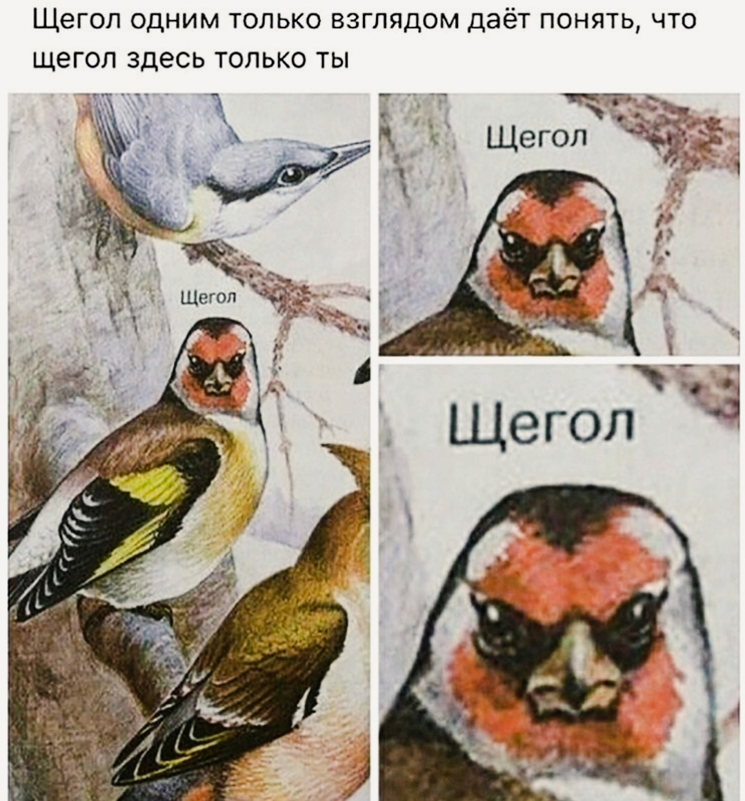 Приколюшные картинки - Бодибилдинг форум AnabolicShops