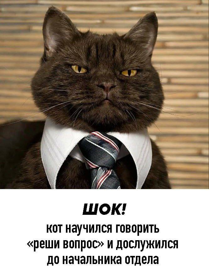 Анекдоты обо всем - Бодибилдинг форум AnabolicShops