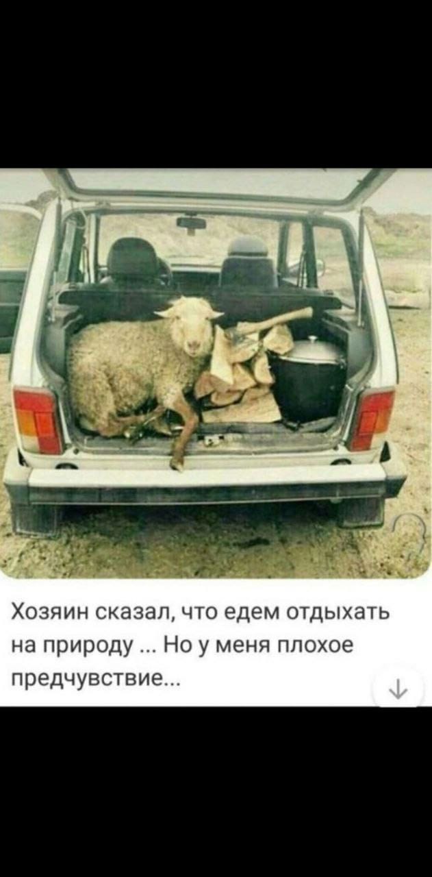 Приколюшные картинки - Бодибилдинг форум AnabolicShops