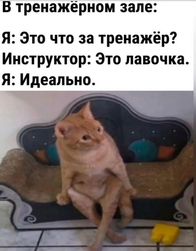 Курилка- разговоры на любые темы - Бодибилдинг форум AnabolicShops