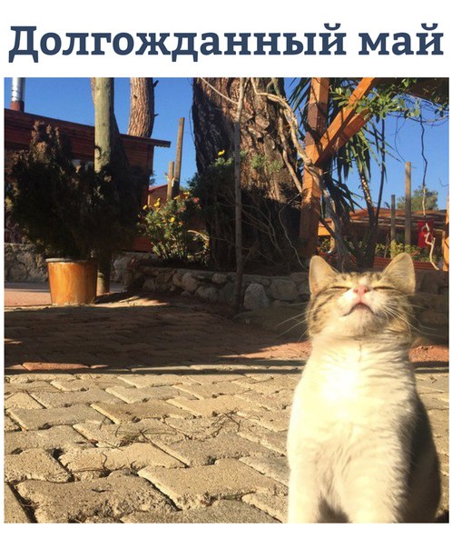 Курилка- разговоры на любые темы - Бодибилдинг форум AnabolicShops