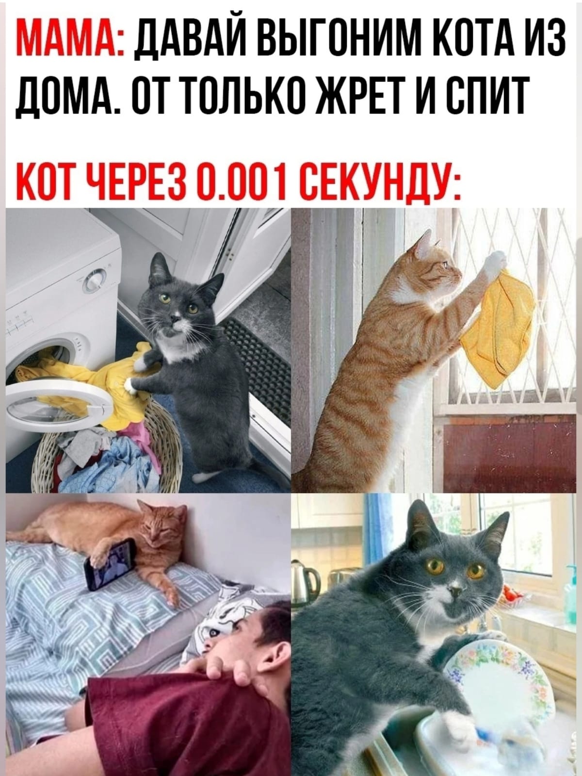 Приколюшные картинки - Бодибилдинг форум AnabolicShops