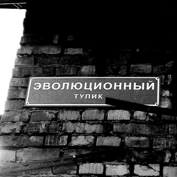 Hilma PRO - с заботой о вашем здоровье! - Бодибилдинг форум AnabolicShops