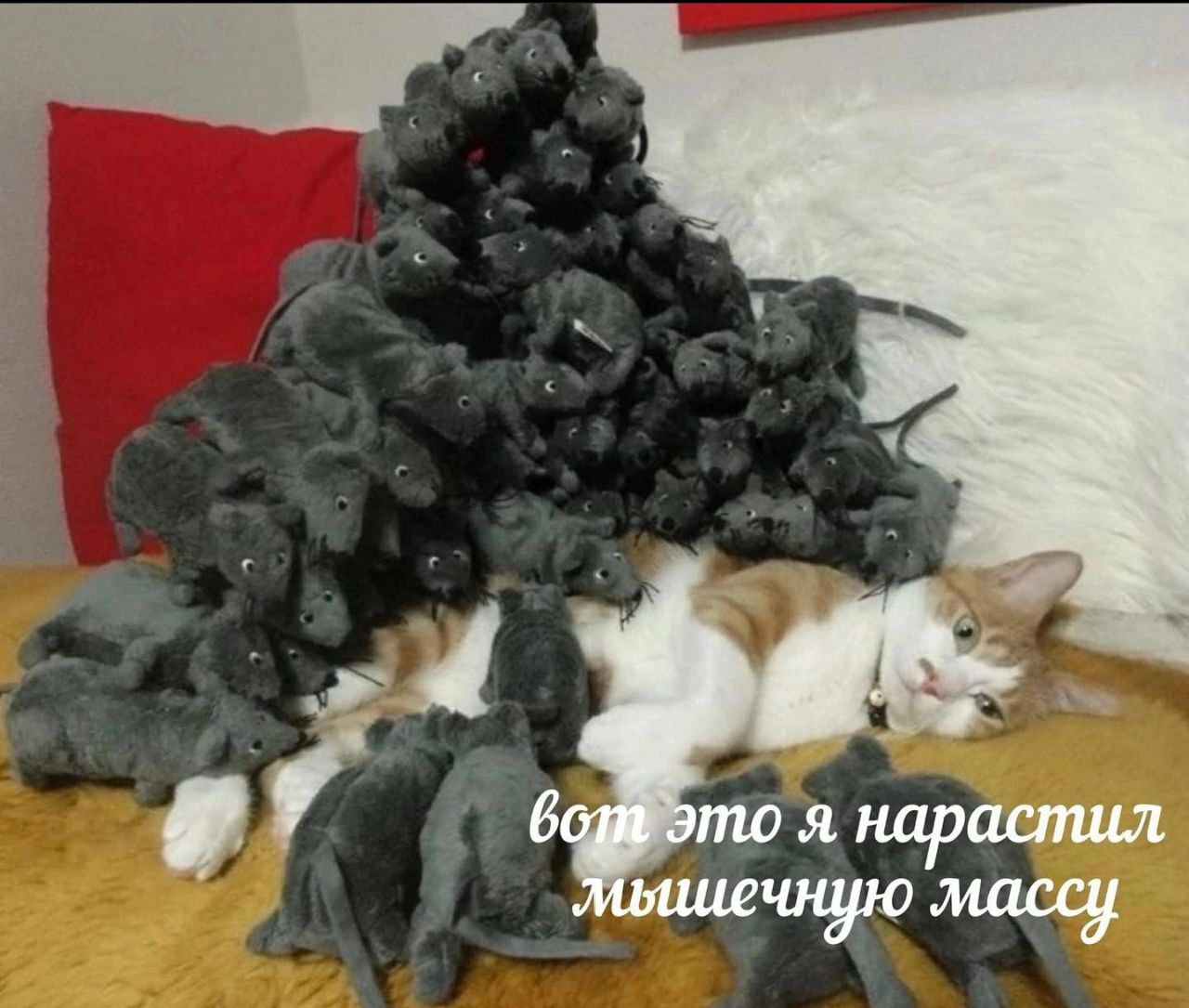 Hilma PRO - с заботой о вашем здоровье! - Бодибилдинг форум AnabolicShops