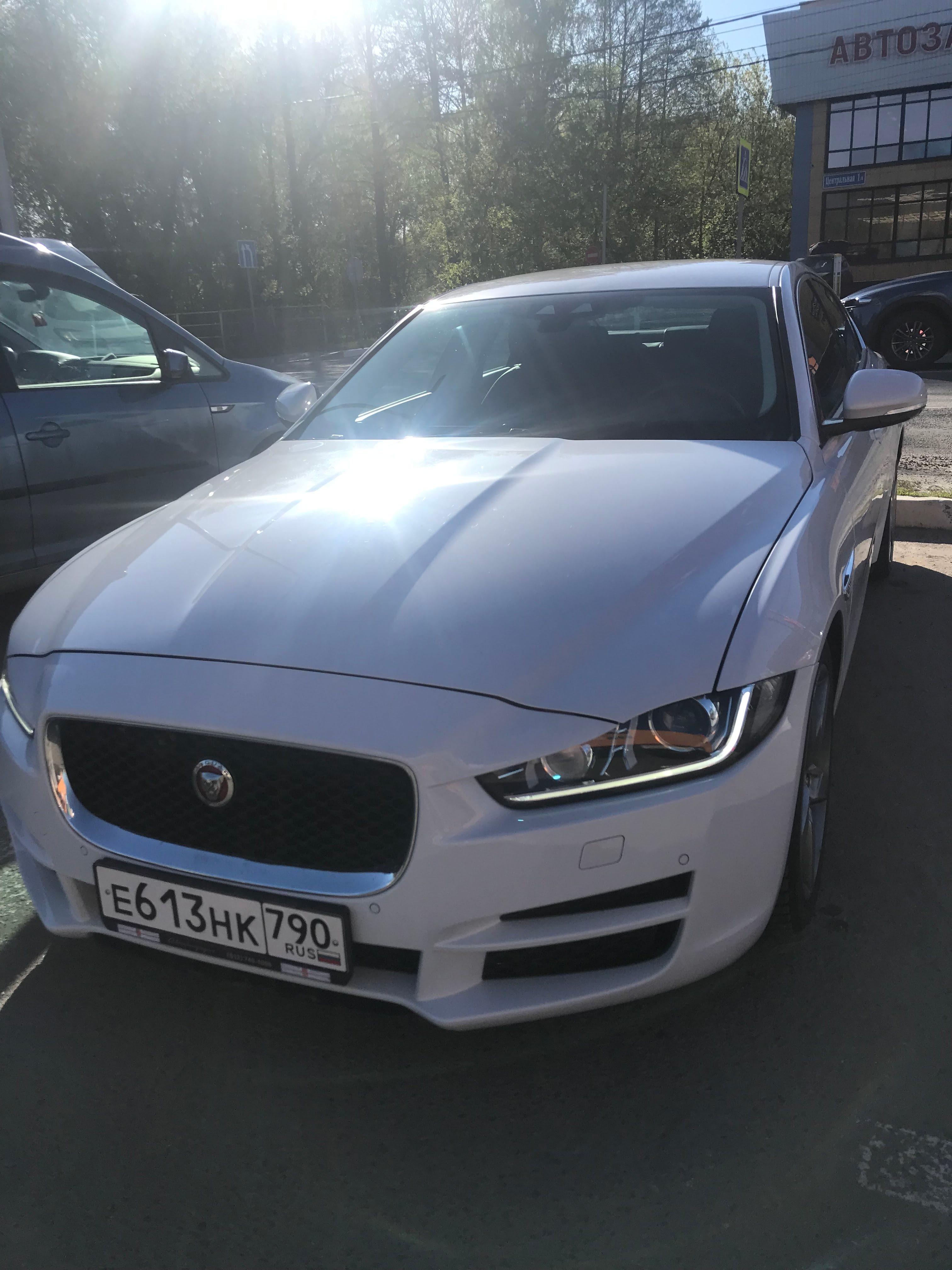 Hilma PRO - с заботой о вашем здоровье! - Бодибилдинг форум AnabolicShops