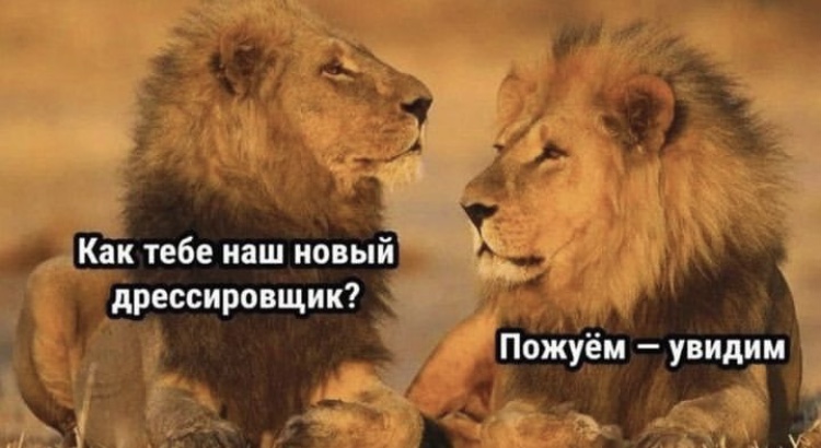 Hilma PRO - с заботой о вашем здоровье! - Бодибилдинг форум AnabolicShops