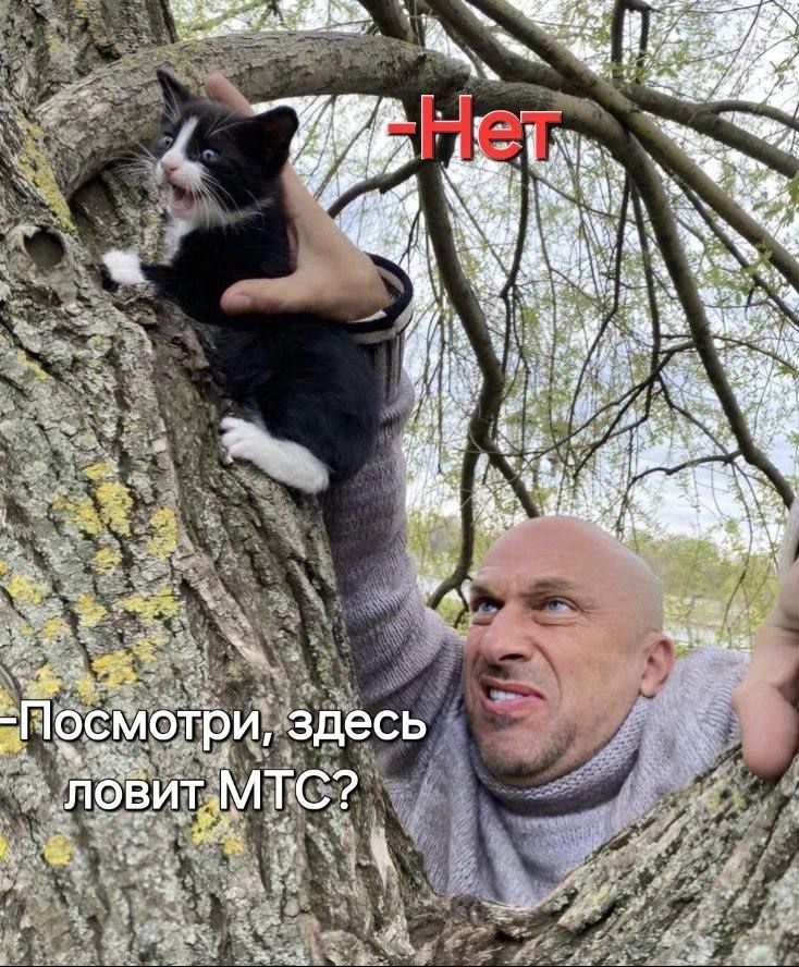 Курилка- разговоры на любые темы - Бодибилдинг форум AnabolicShops