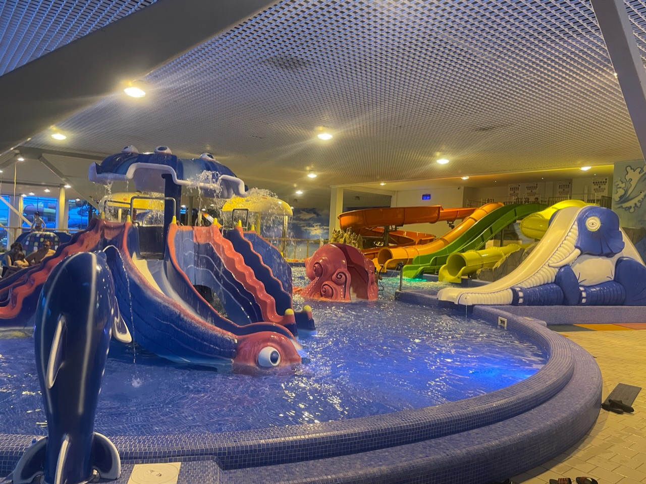 Конкурс от Savann - Бодибилдинг форум AnabolicShops