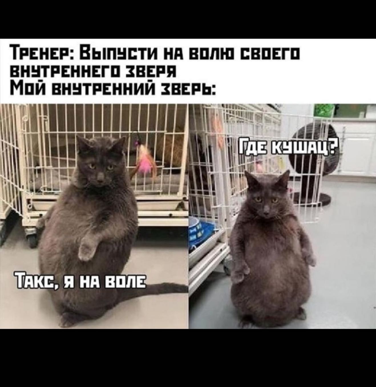 Hilma PRO - с заботой о вашем здоровье! - Бодибилдинг форум AnabolicShops