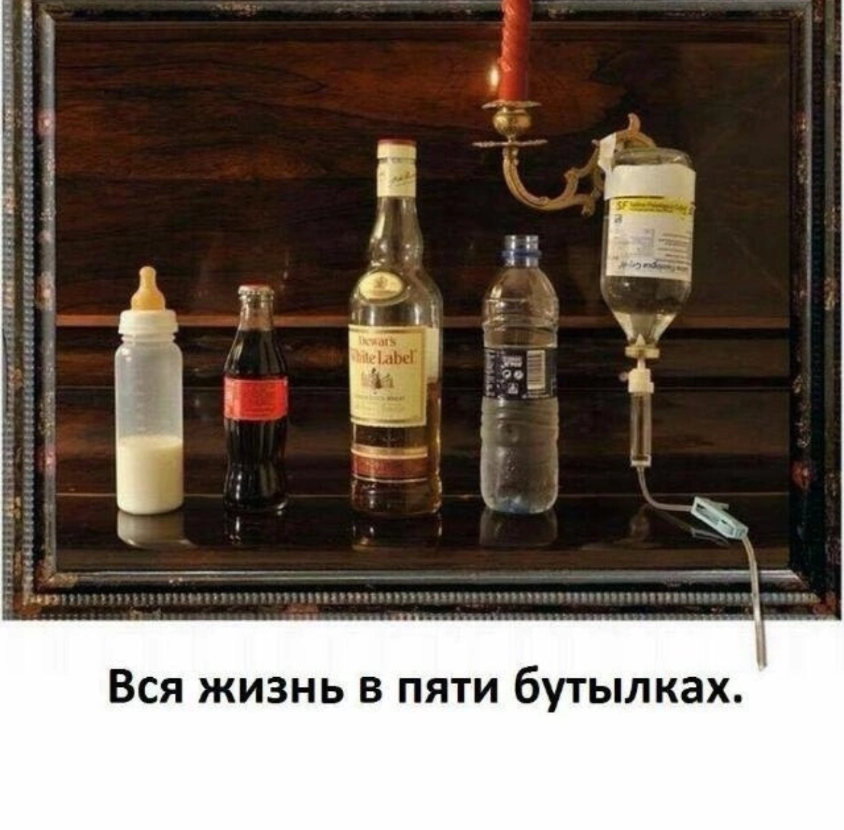 Курилка- разговоры на любые темы - Бодибилдинг форум AnabolicShops