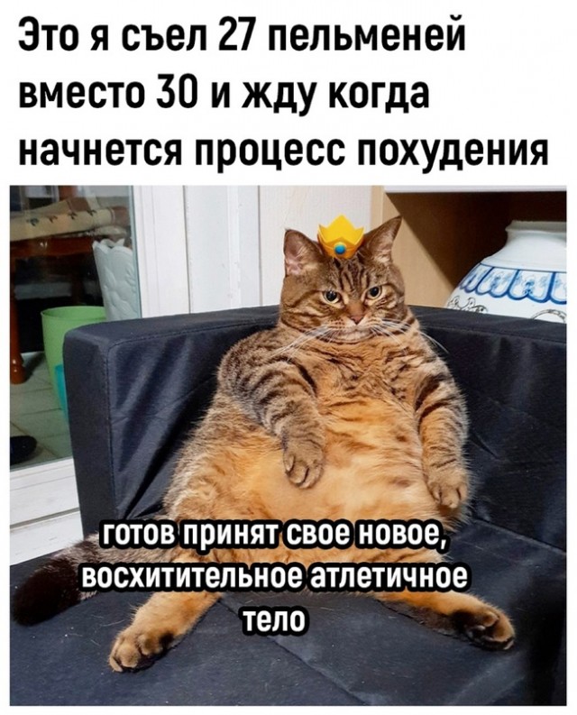 Курилка- разговоры на любые темы - Бодибилдинг форум AnabolicShops