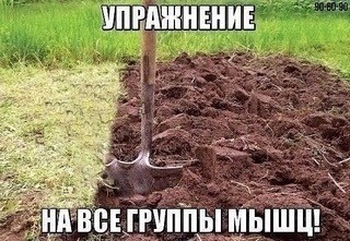 Курилка- разговоры на любые темы - Бодибилдинг форум AnabolicShops