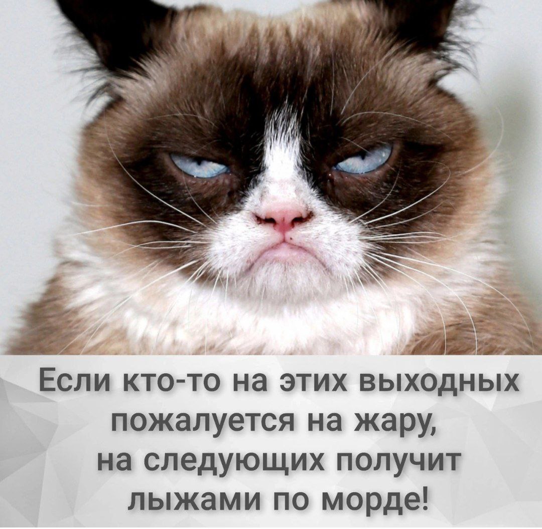 Приколюшные картинки - Бодибилдинг форум AnabolicShops