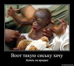 Thomas&Co - Медицинское качество. - Бодибилдинг форум AnabolicShops