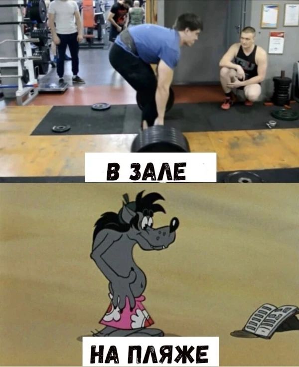 Курилка- разговоры на любые темы - Бодибилдинг форум AnabolicShops