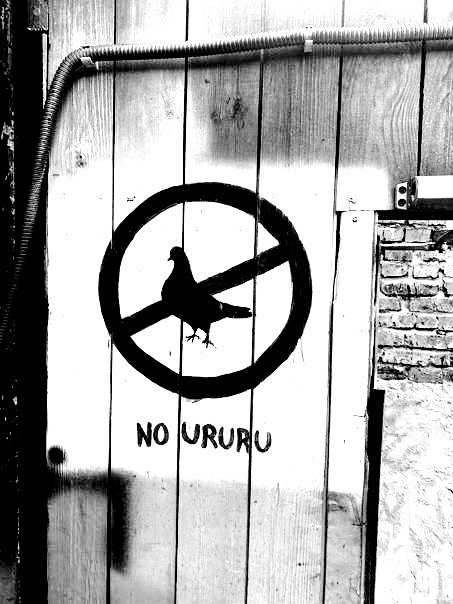 Приколюшные картинки - Бодибилдинг форум AnabolicShops