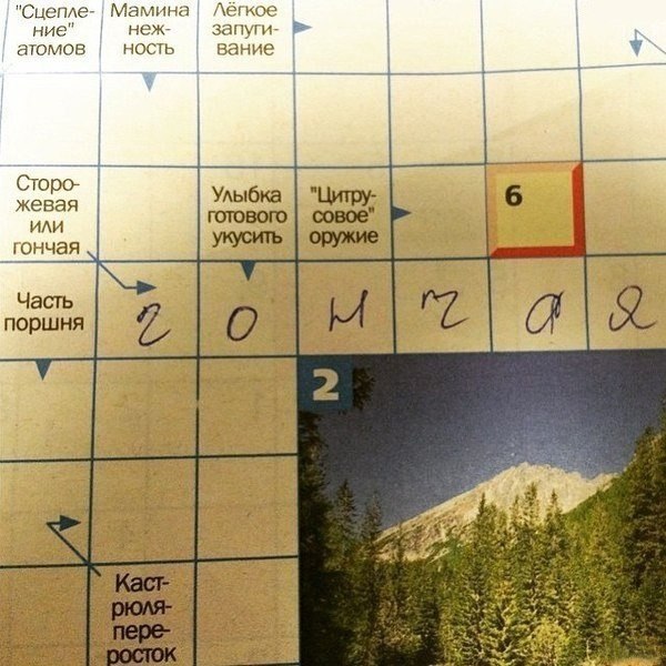 Приколюшные картинки - Бодибилдинг форум AnabolicShops