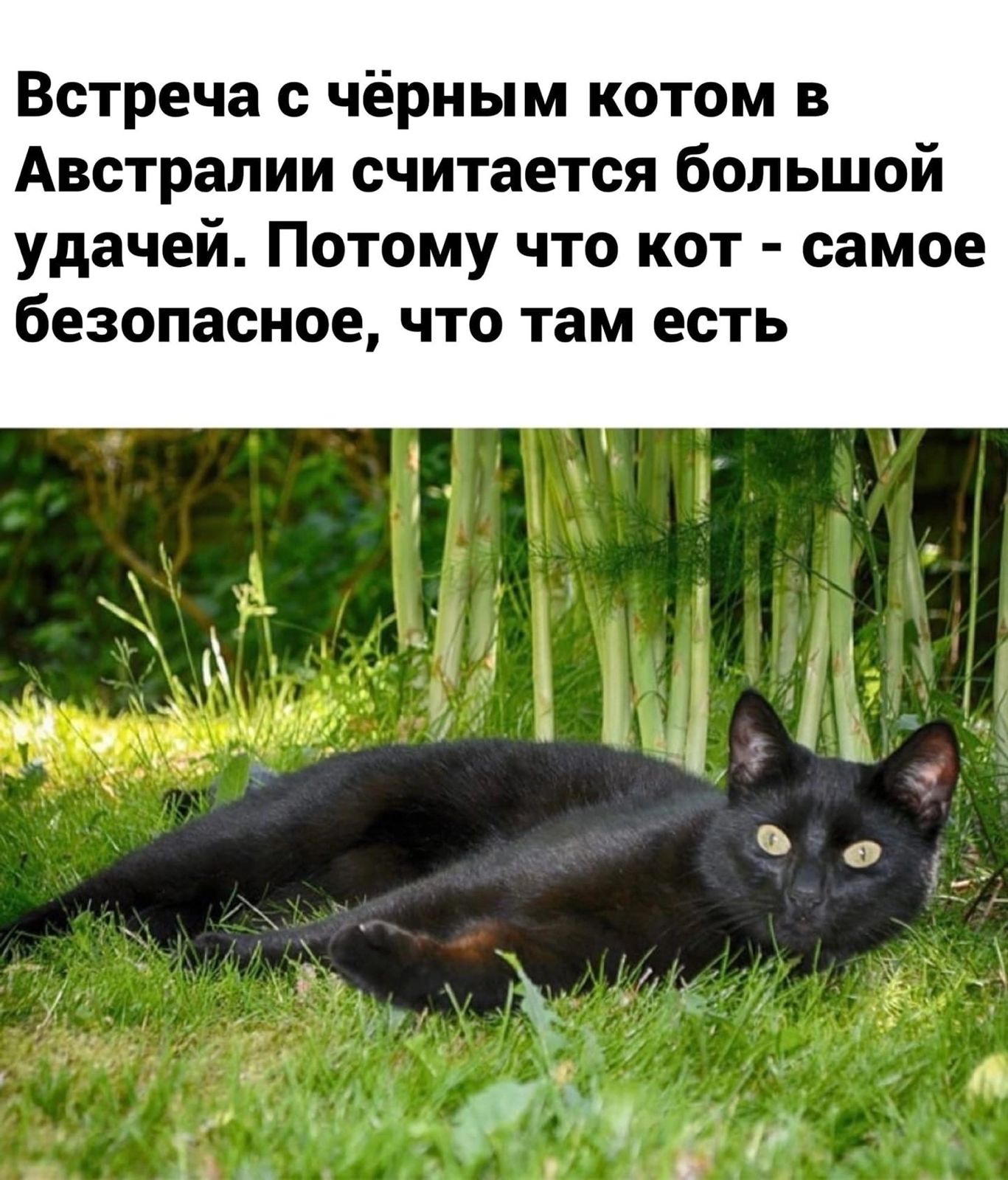 Приколюшные картинки - Бодибилдинг форум AnabolicShops