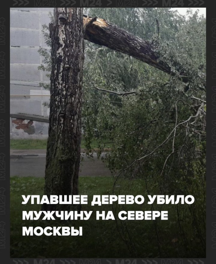 Hilma PRO - с заботой о вашем здоровье! - Бодибилдинг форум AnabolicShops