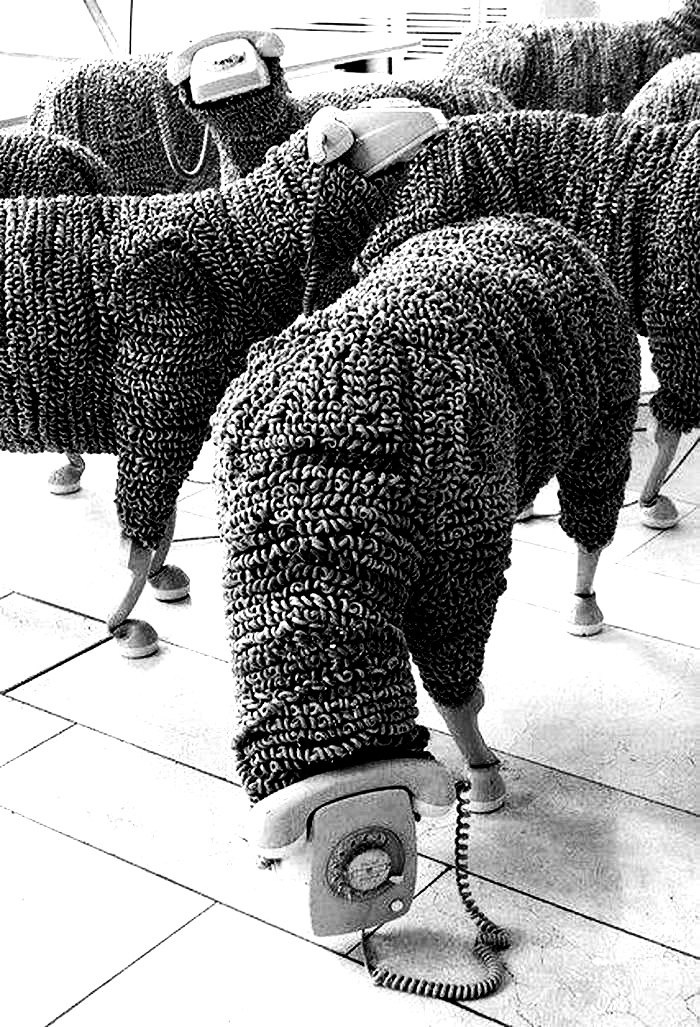 Приколюшные картинки - Бодибилдинг форум AnabolicShops