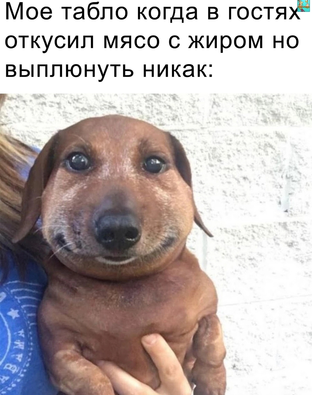 Приколюшные картинки - Бодибилдинг форум AnabolicShops