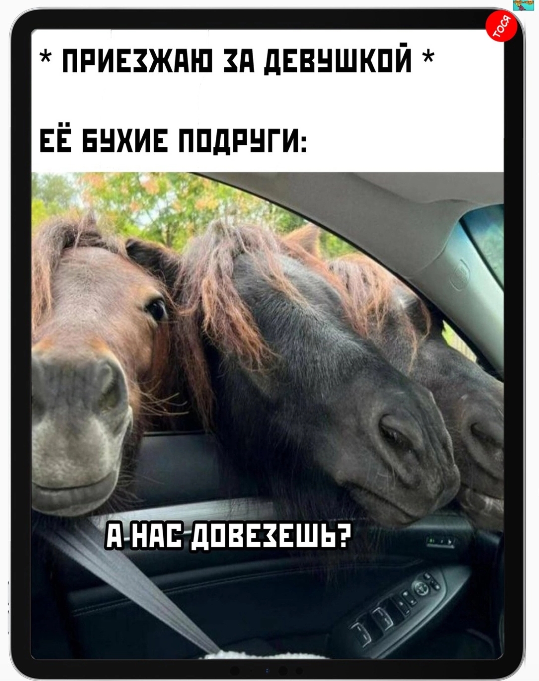 Приколюшные картинки - Бодибилдинг форум AnabolicShops