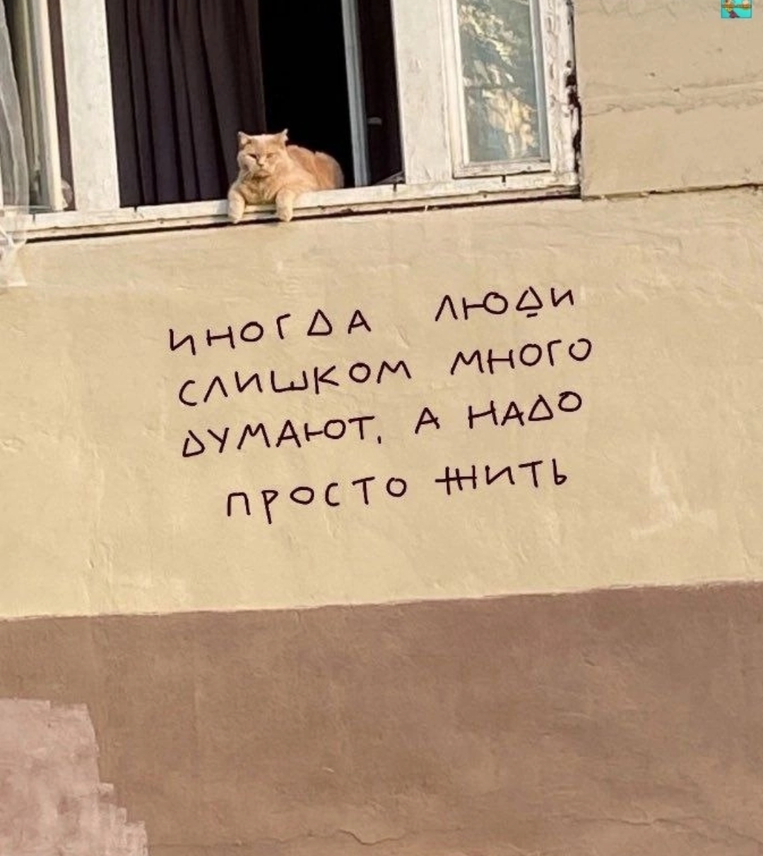 Приколюшные картинки - Бодибилдинг форум AnabolicShops