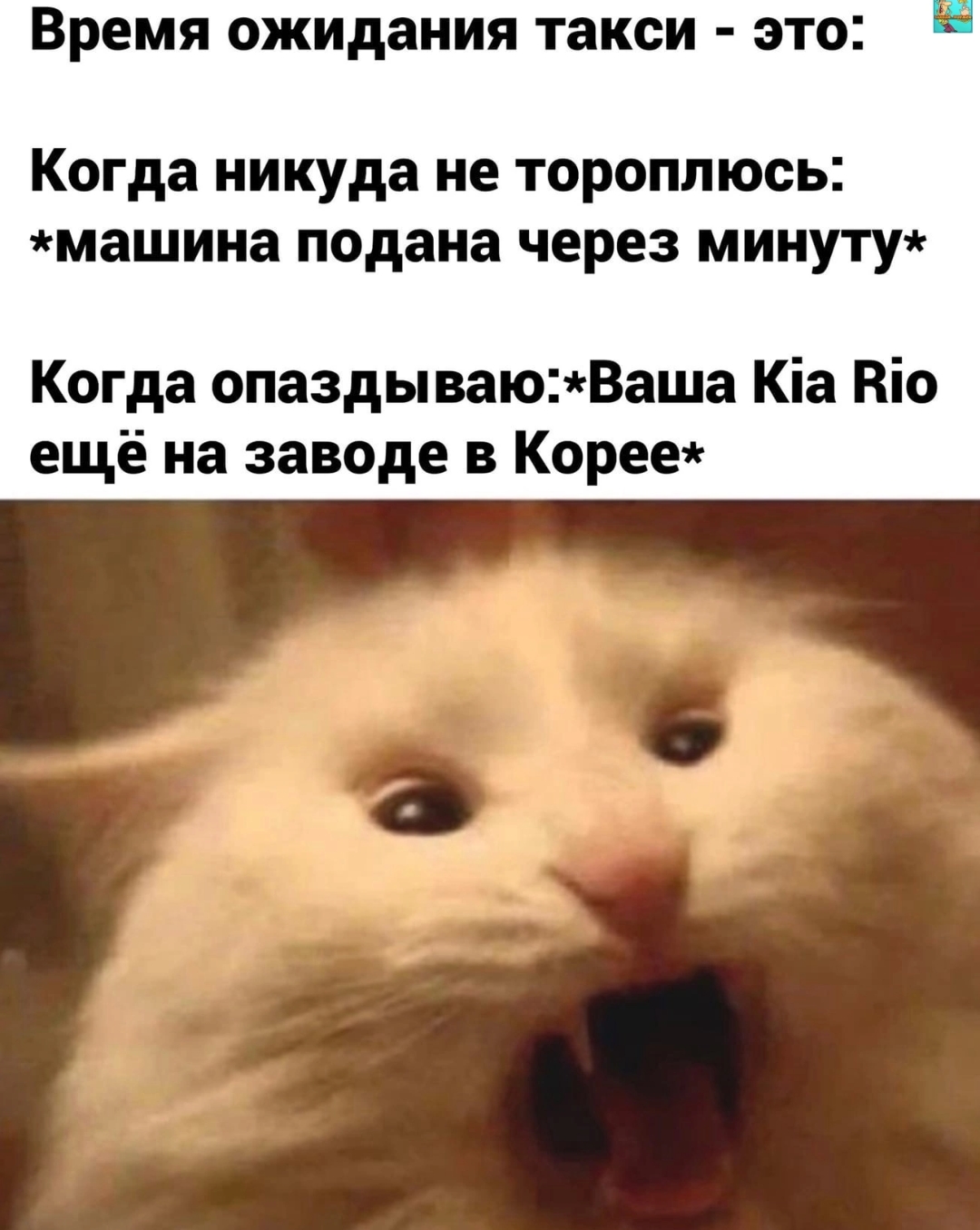 Приколюшные картинки - Бодибилдинг форум AnabolicShops