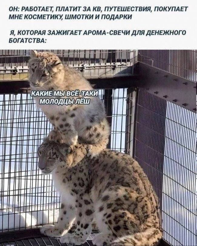 Приколюшные картинки - Бодибилдинг форум AnabolicShops