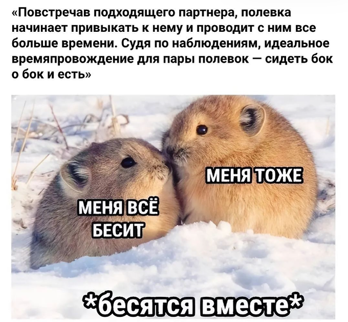 Приколюшные картинки - Бодибилдинг форум AnabolicShops