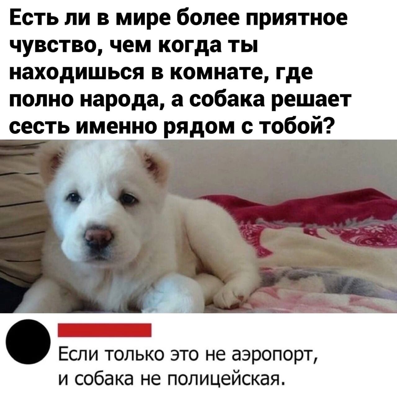 Приколюшные картинки - Бодибилдинг форум AnabolicShops