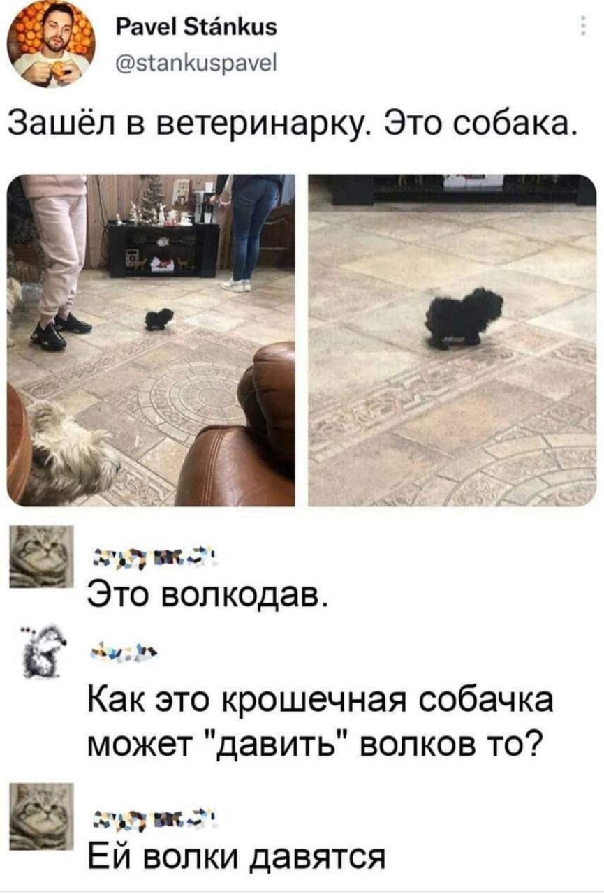 Приколюшные картинки - Бодибилдинг форум AnabolicShops