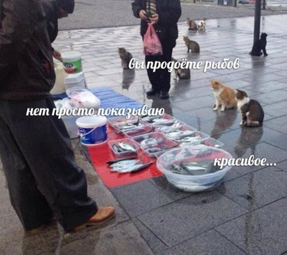 АНАБОЛИКИ.net - оф.дилер SP, Zerox, Genetic, Magnus, Lyka ! - Бодибилдинг форум AnabolicShops